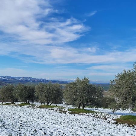 Отель Dimora In Francigena Сан-Куйрико-д'Орча Экстерьер фото
