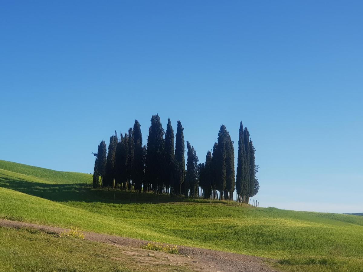 Отель Dimora In Francigena Сан-Куйрико-д'Орча Экстерьер фото