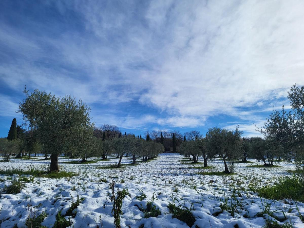 Отель Dimora In Francigena Сан-Куйрико-д'Орча Экстерьер фото